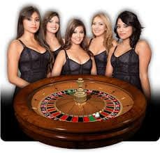 ht777 Live table schedules